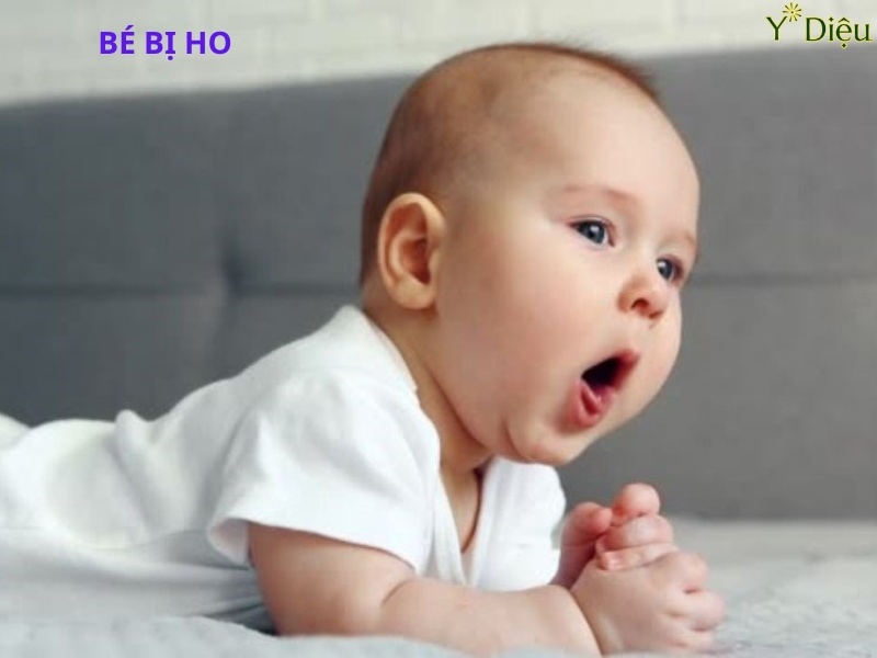 Siro Ho Em Bé An Toàn, Hiệu Quả Ngay Lập Tức Để Me An Tâm